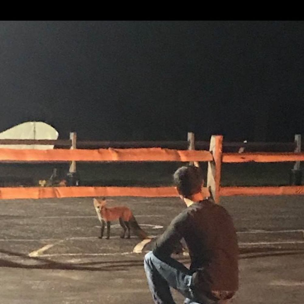 Meet your Posher, Dylan